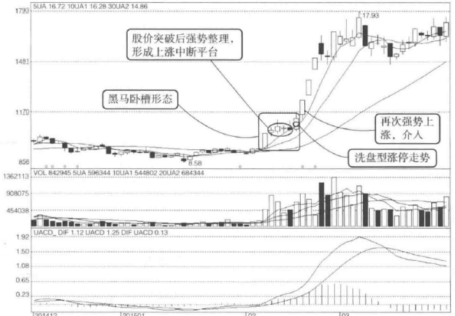 大道至简什么股票上涨既快又猛？