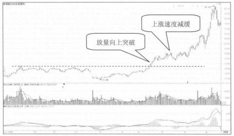一位退役操盘手的箴言三种情况一定是拉升散户却全然不知