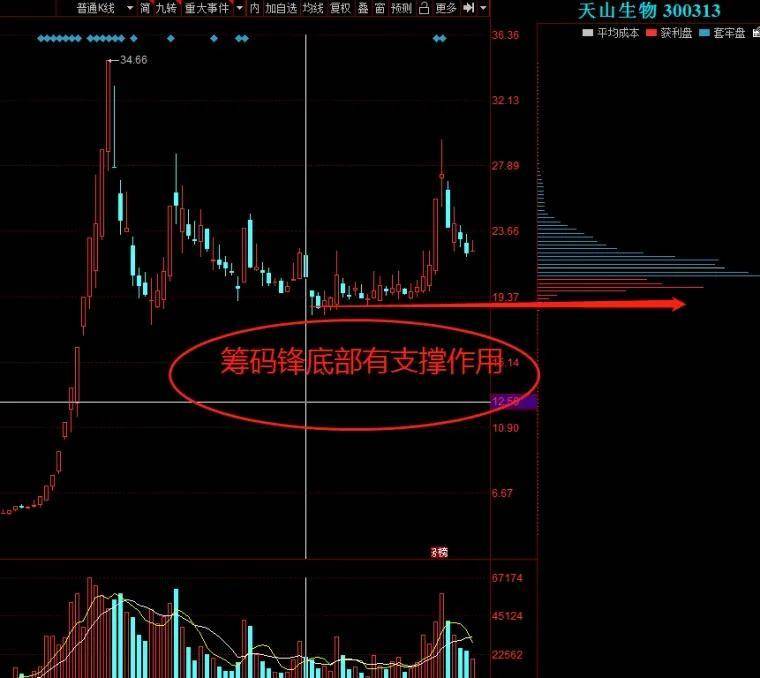 实战里筹码如何运用才能提高交易成功率