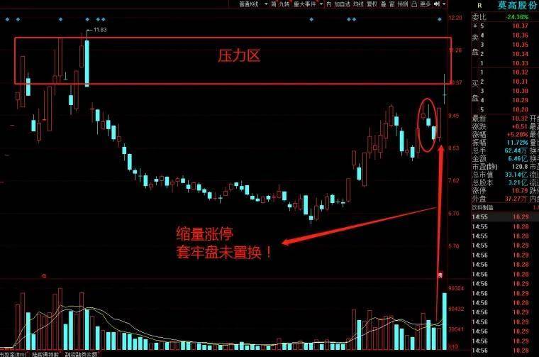 实战里筹码如何运用才能提高交易成功率