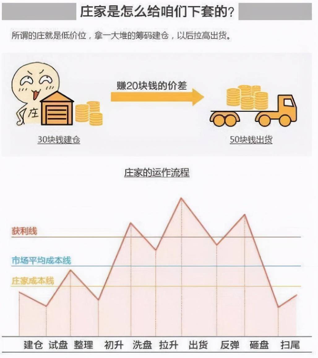 厦大一女教授终于发声中国股市背后的庄家是谁？此文很短很深