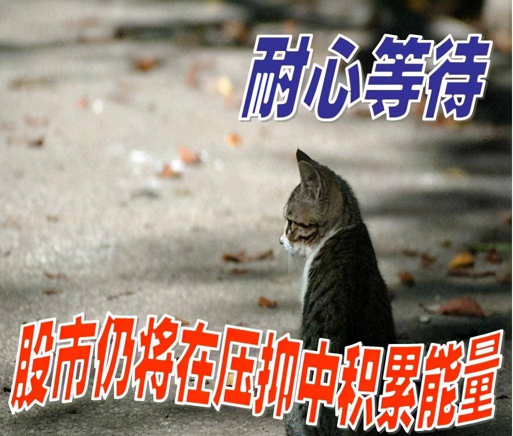 你有多自律你在股市投资里就会有多成功建议每个周末看一次