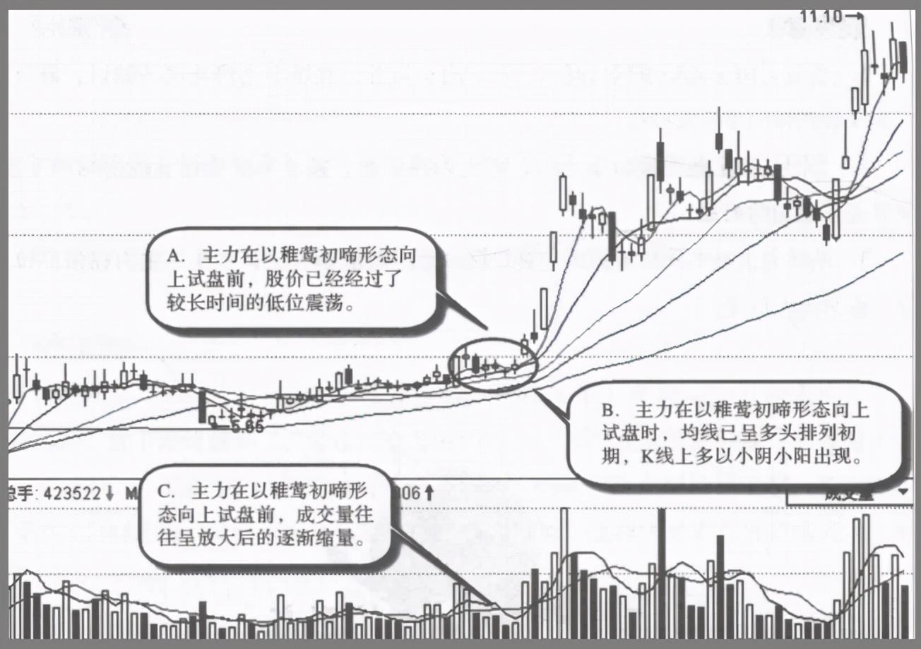 一位退役操盘手坦言为什么主力拉升前都会先砸点小钱试盘