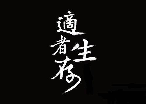 主力为什么要对敲成交量？我整整读了十遍写的太深刻了