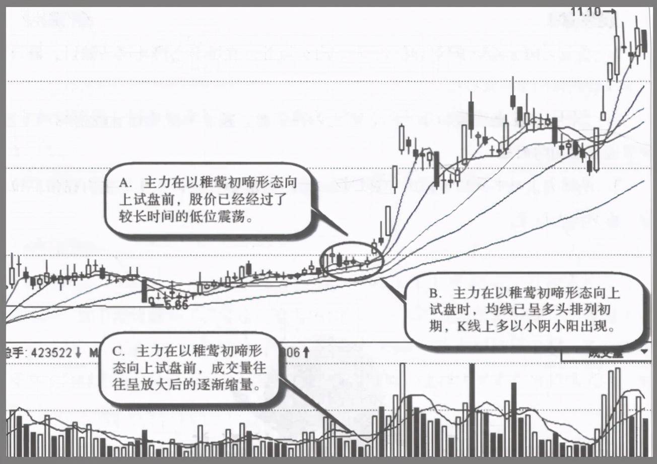 中国股市为什么庄家敢打压股价却不怕别人抢廉价筹码？