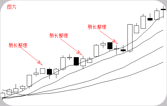 终于有人把均线理论的精髓讲透了线乱不看形散不买