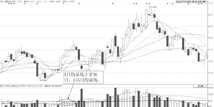 庄家酒后吐真言只需看一眼成交量就知道哪只股票会涨个不停