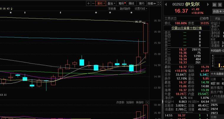 实战基础技术之分时盘口
