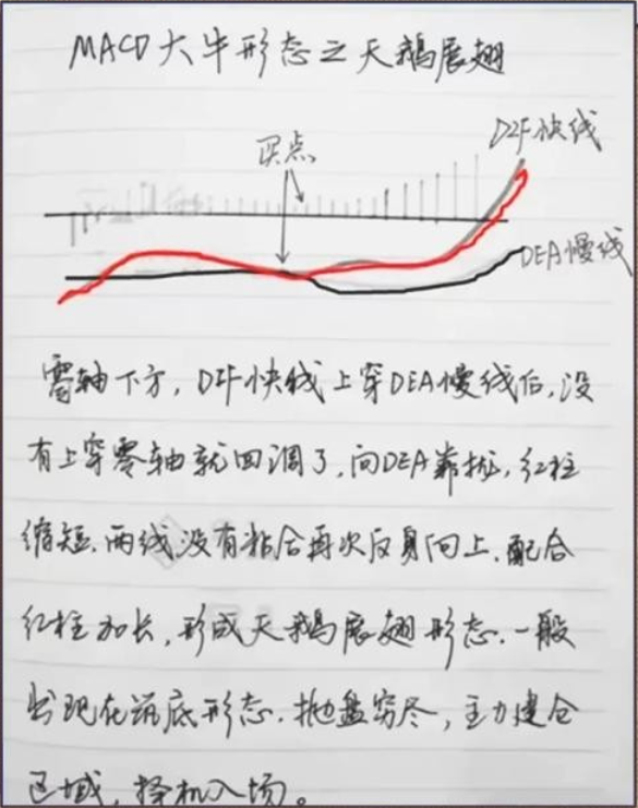 散户如何炒股养家？一位炒股16年的老股民说出秘密大雅若拙！