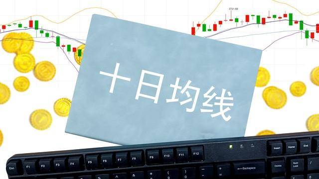 炒股是听专家的还是靠自己学习？新手散户应该这样做