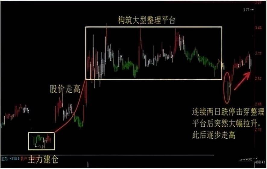广东一位包租婆炒股仅用一招跟庄法短短三年账户超八位数