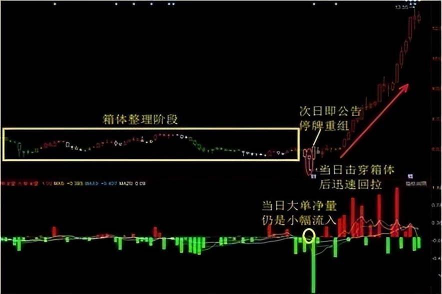 广东一位包租婆炒股仅用一招跟庄法短短三年账户超八位数