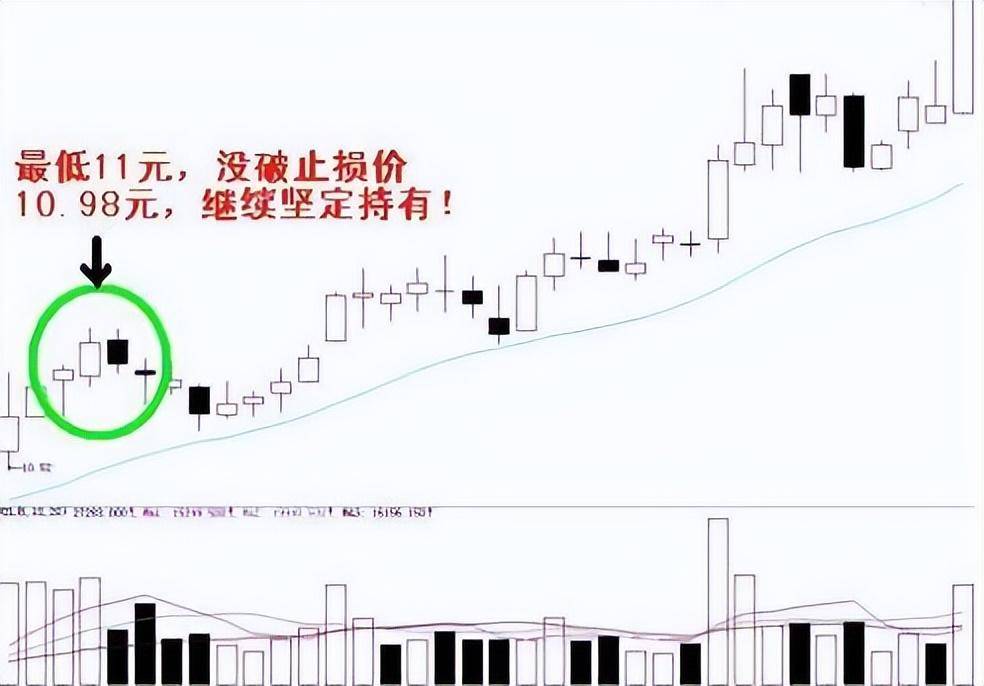 散户如何实现炒股养家一位炒股17年老股民说出了秘密散户明灯