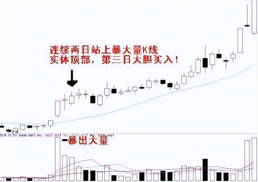 散户如何实现炒股养家一位炒股17年老股民说出了秘密散户明灯
