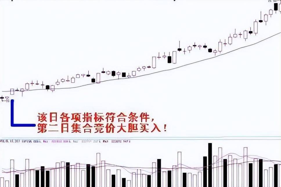 散户如何实现炒股养家一位炒股17年老股民说出了秘密散户明灯