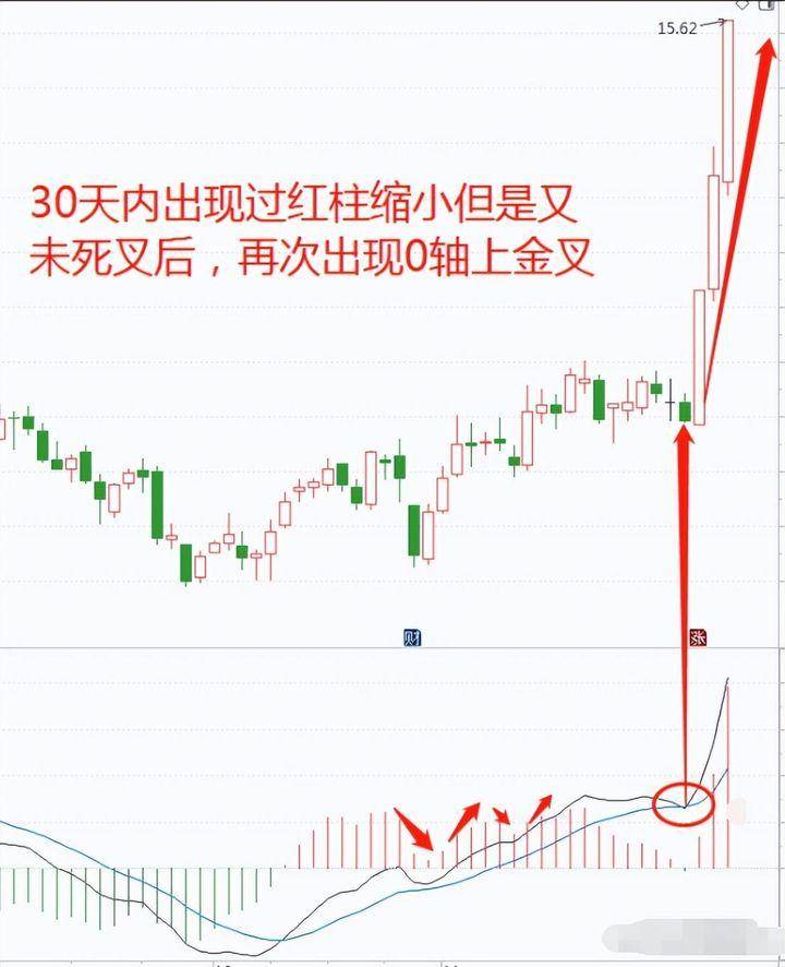 一位深圳短线奇才10年仅持有这一种票反复做T实现盈利7位数！
