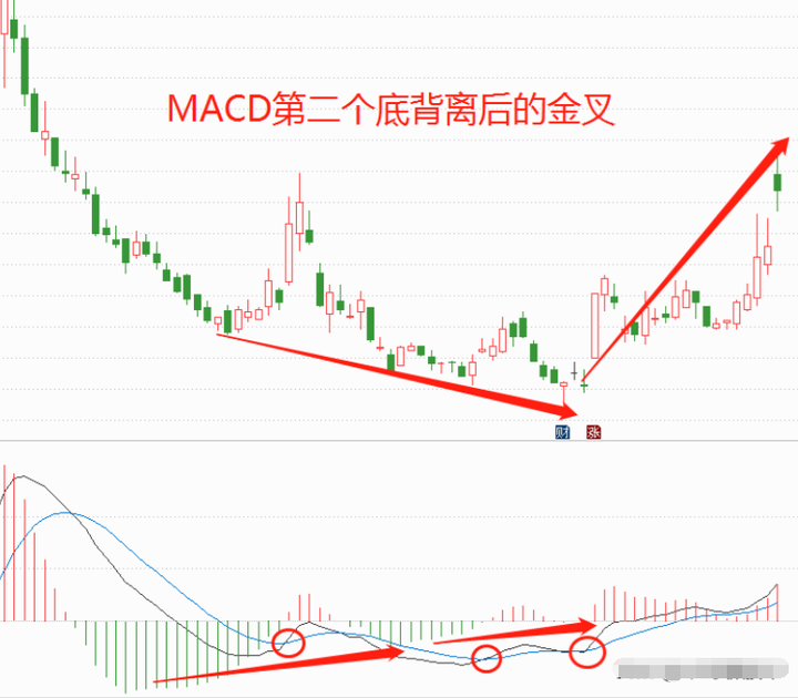 一位深圳短线奇才10年仅持有这一种票反复做T实现盈利7位数！