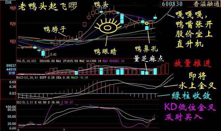 炒股冠军揭秘简单实用的老鸭头不败战法遇见这信号闭眼买入