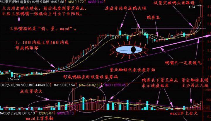 炒股冠军揭秘简单实用的老鸭头不败战法遇见这信号闭眼买入