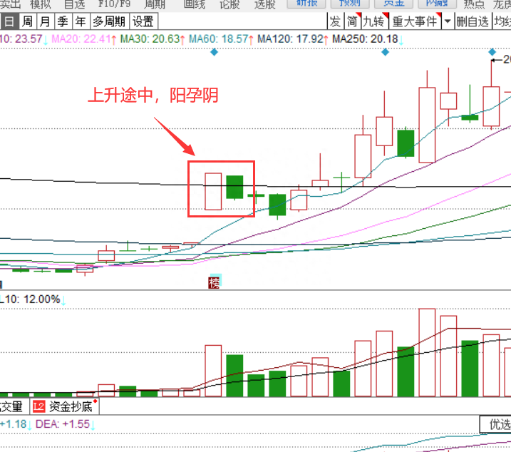 复盘碰到孕线形态散户也轻松把握市场反转情绪买在最低点！