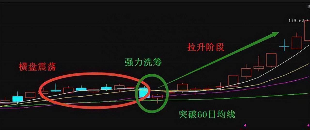 一旦读懂这8种选股技巧精准捕捉黑马股高效实用胜读万卷书