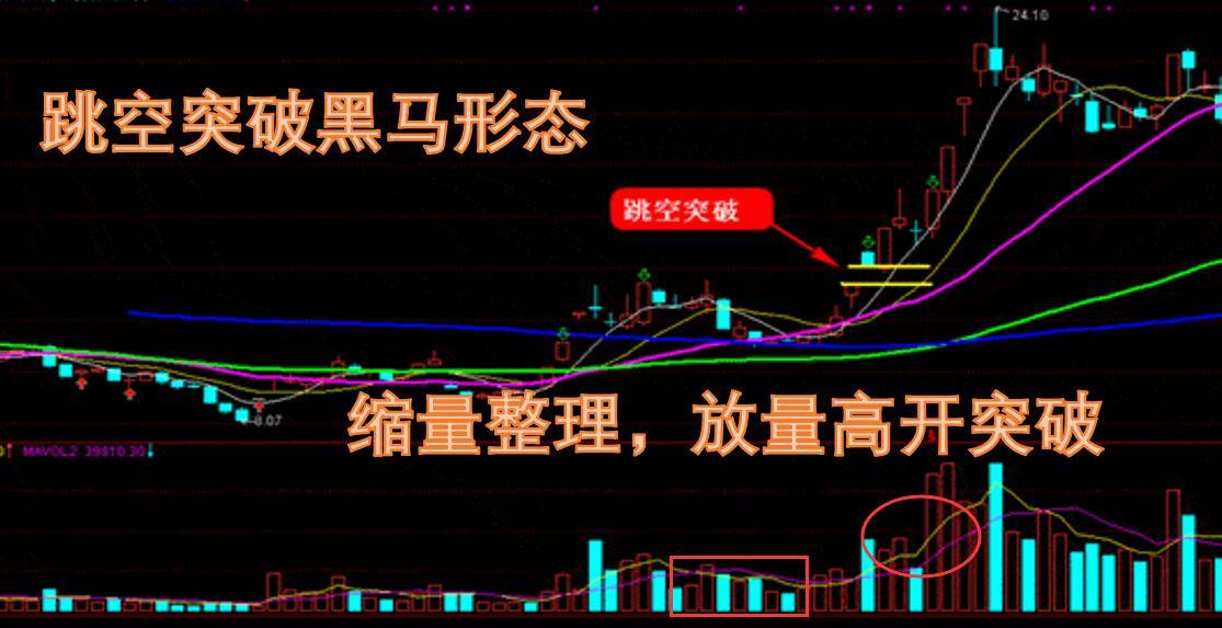 A股4大技巧3分钟选出黑马股学会了轻松实现盈利翻倍！