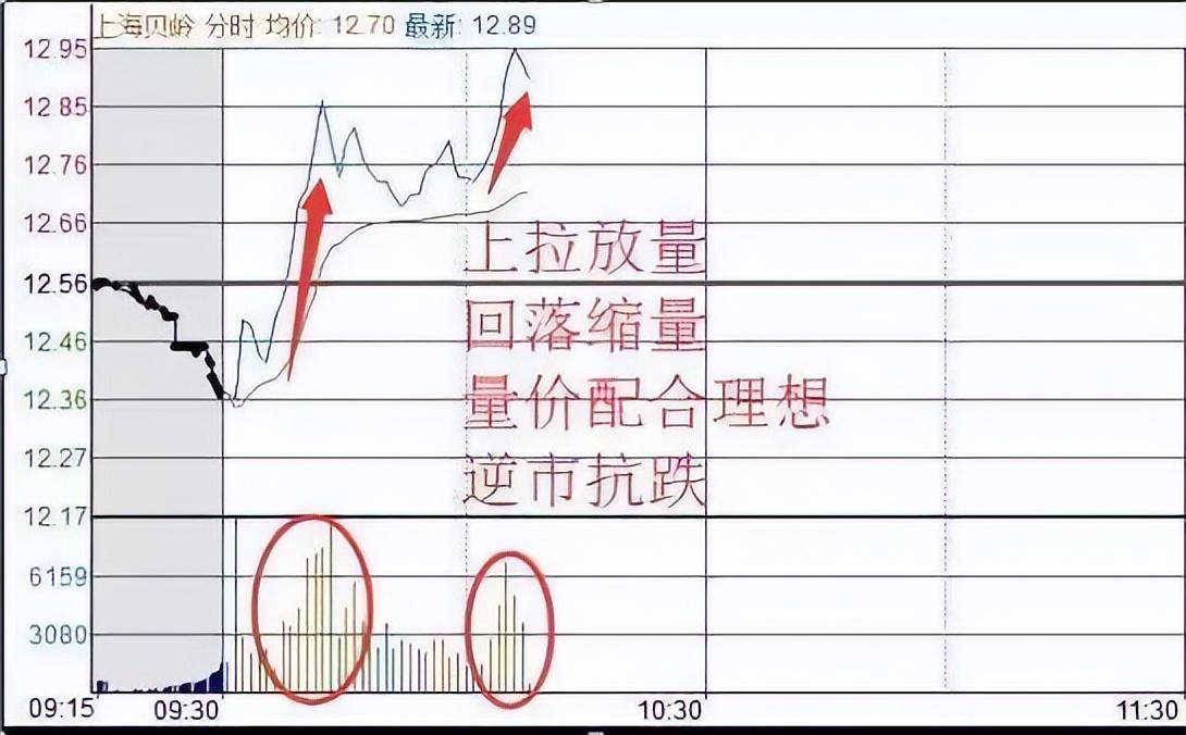 量化交易被推上风口浪尖如何应对？做到这6点必战胜机器人！
