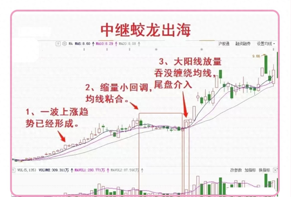 股市如海变幻莫测能乘风破浪只得益于蛟龙出海独占鳌头