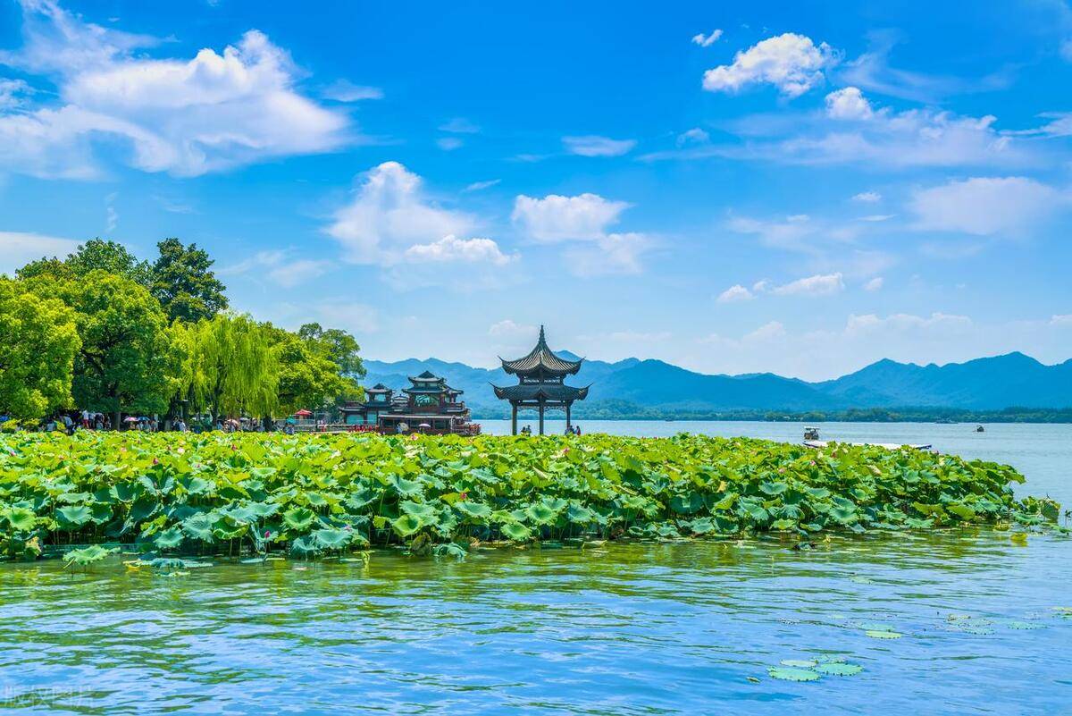民间炒股奇才揭露如何把握卖点让你成为真正的大师受益匪浅