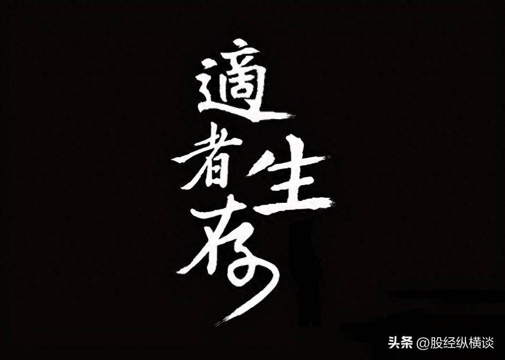 中国股市里唯一不坑人的方法始终坚持三不碰从巨亏到巨赚