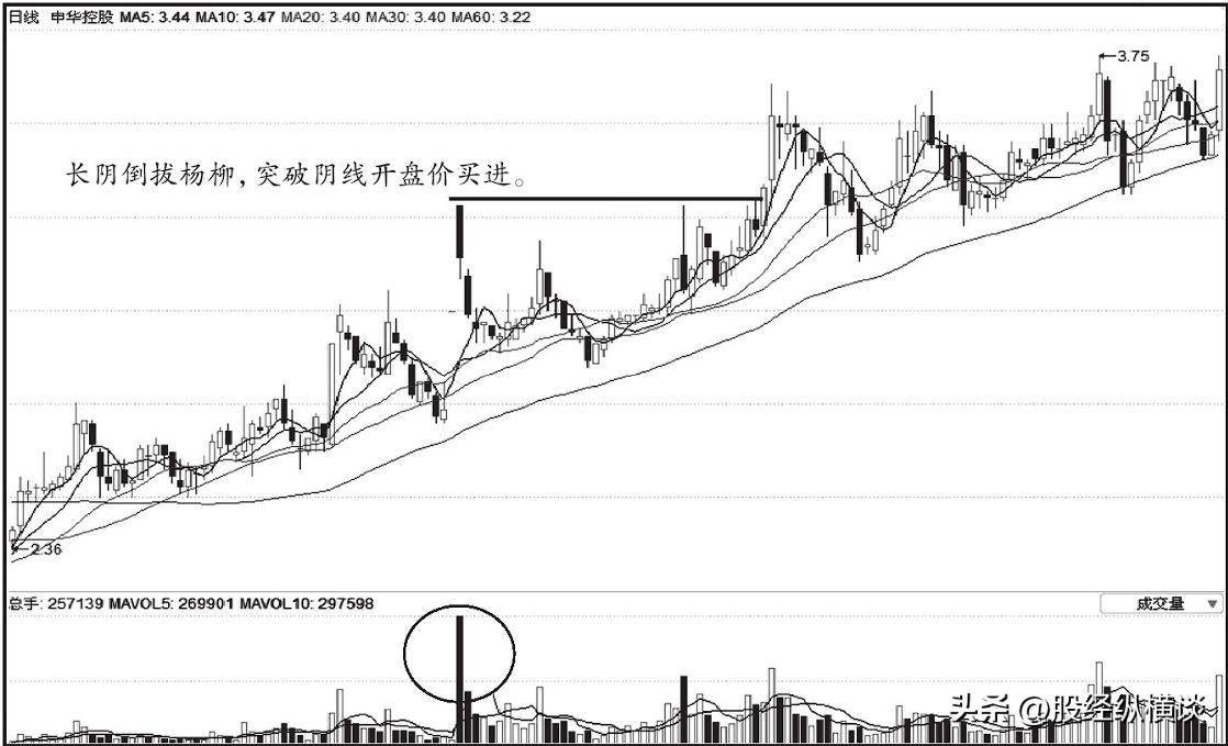 A股唯一不坑人的长阴倒拔杨柳形态一旦出现捂住定是大牛股