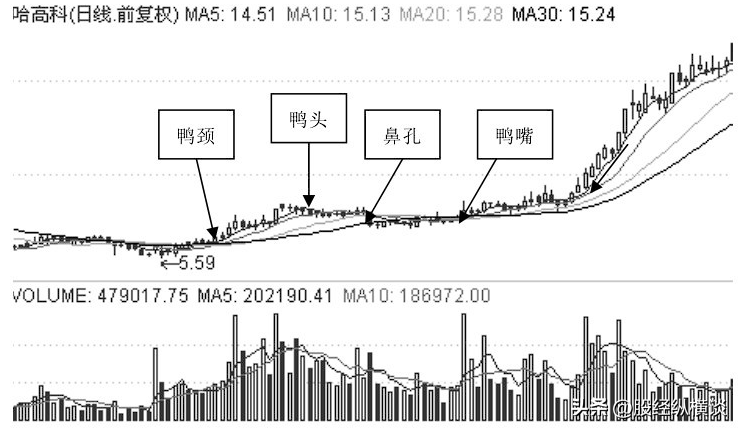 中国股市如果手中只有20万闲钱想要资金做大本文值得你精读