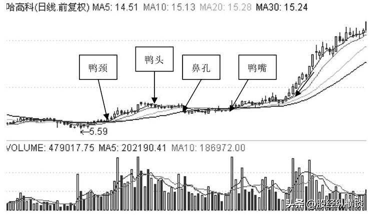 中国股市牢记老鸭头形态用最笨的方式同样赚最多的钱