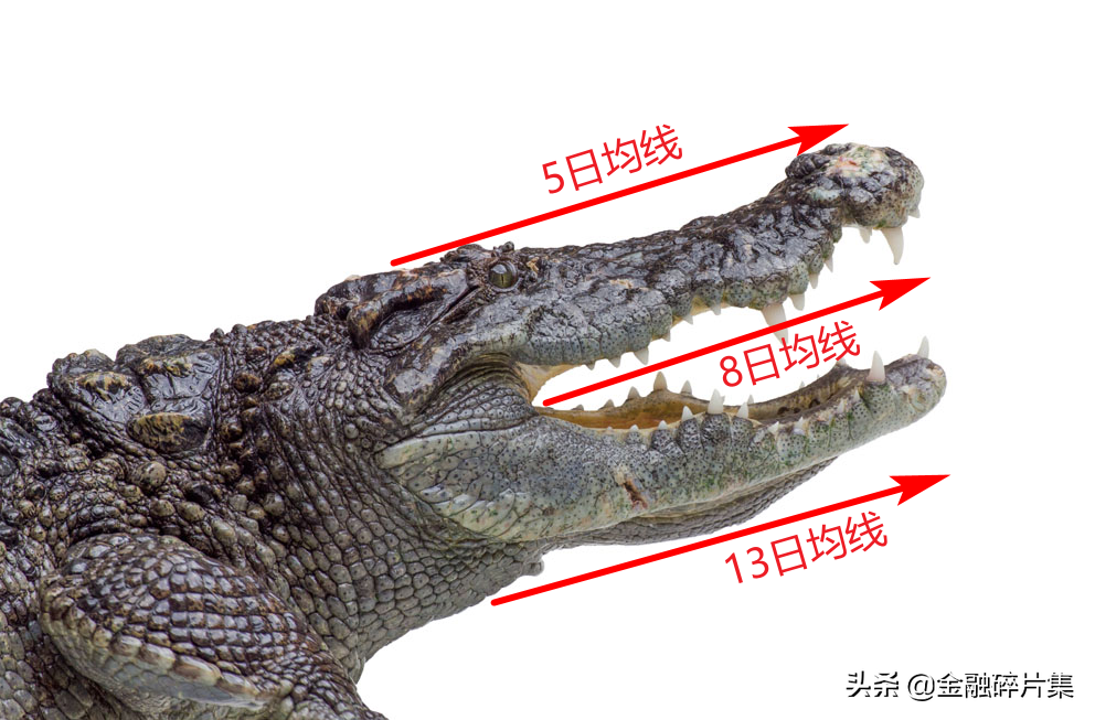 最全均线攻略之进攻战法篇
