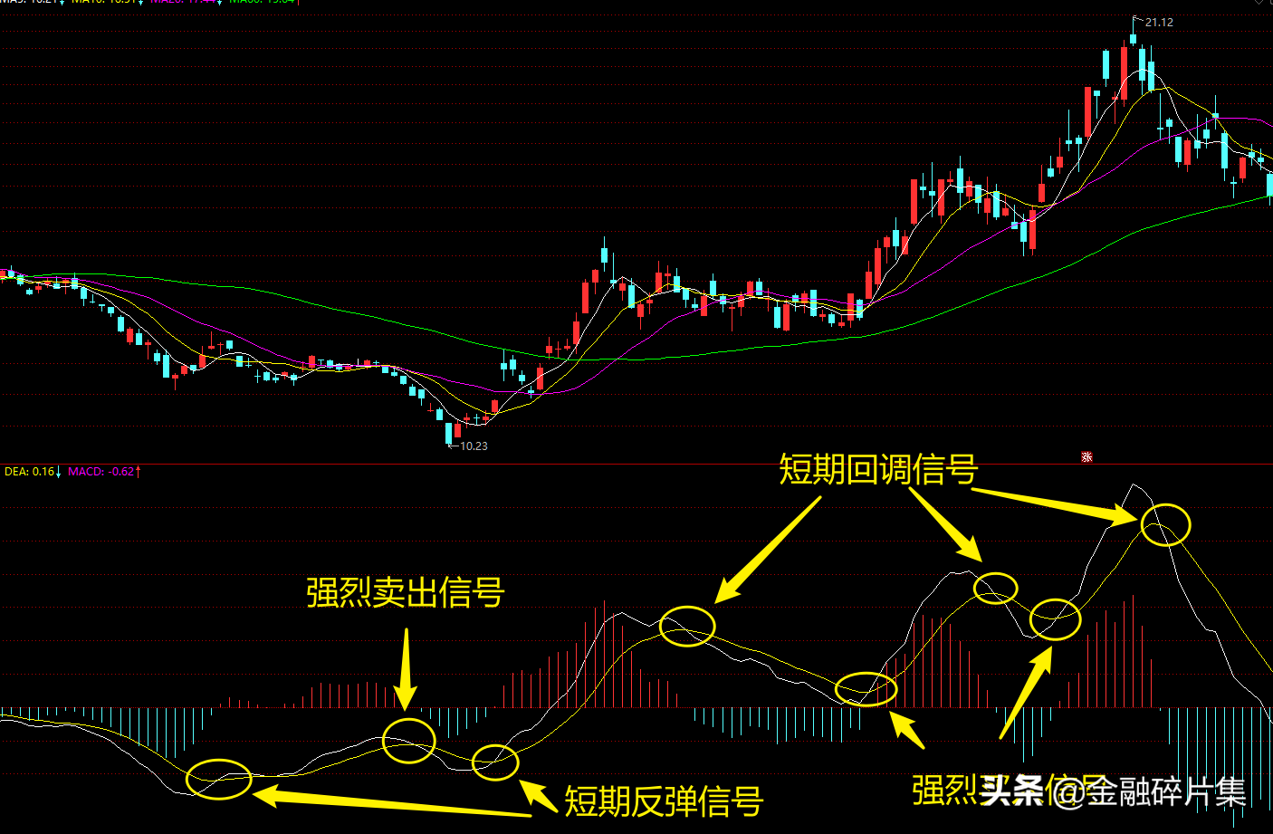 MACD高级说明书1一文讲透MACD的工作原理