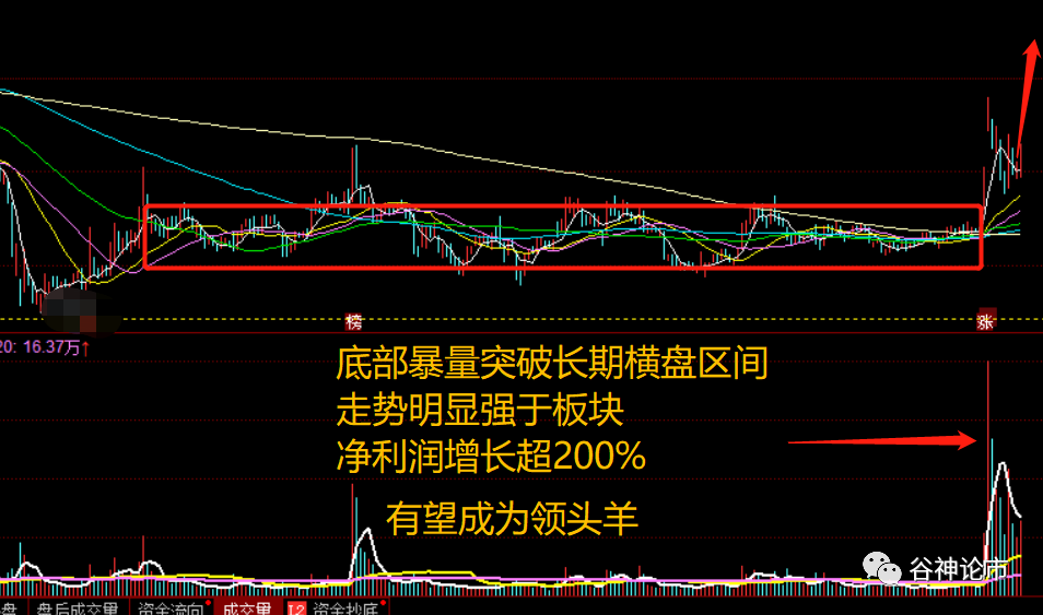 不好意思！我牛市旗手又要杀回来了！！