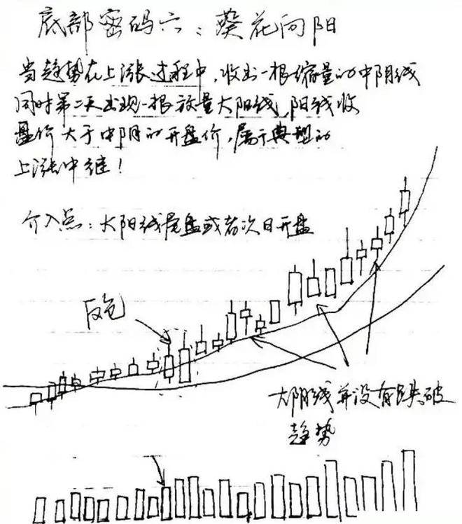 炒股真能赚到钱吗？