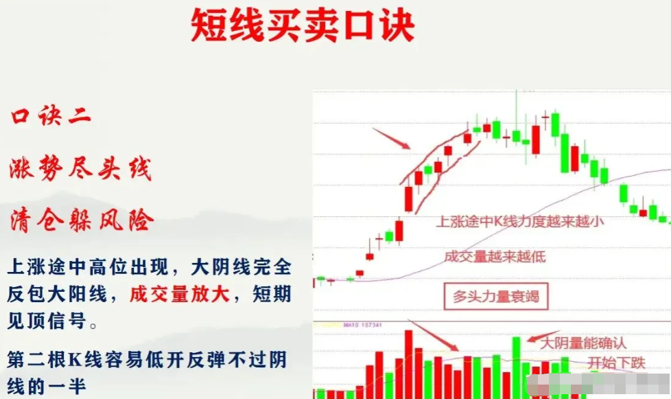 散户为什么永远是韭菜？