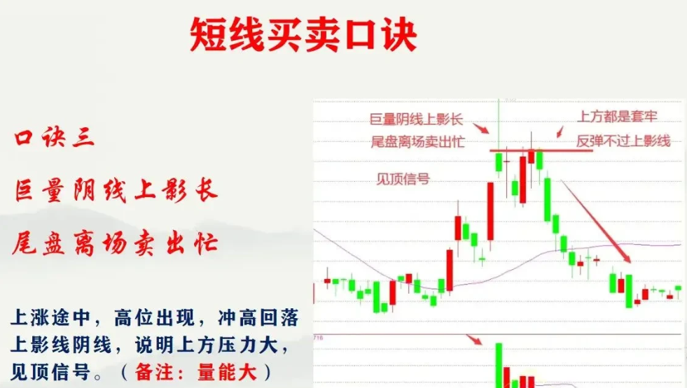 散户为什么永远是韭菜？