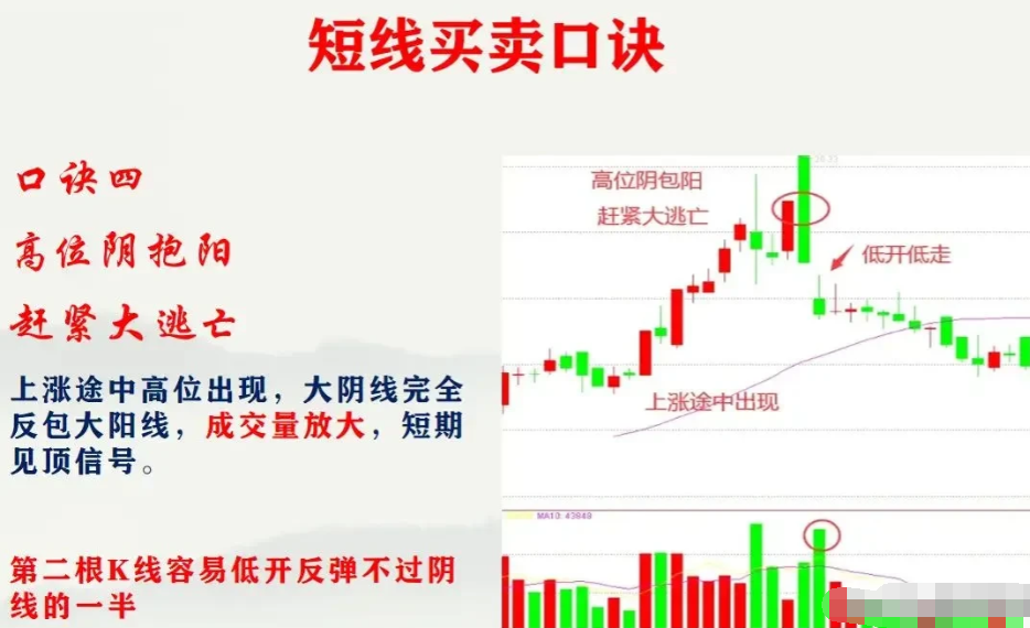 散户为什么永远是韭菜？