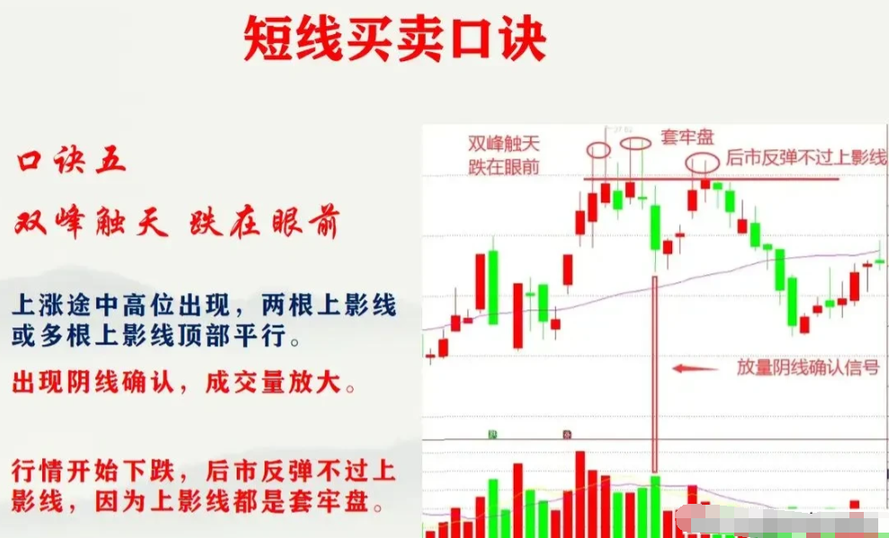 散户为什么永远是韭菜？
