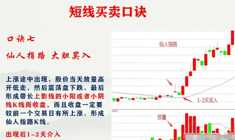 散户为什么永远是韭菜？