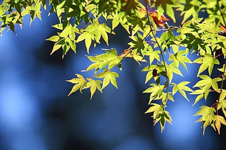 资深牛散教你炒股2年从20万赚1600万只用搞懂量价关系