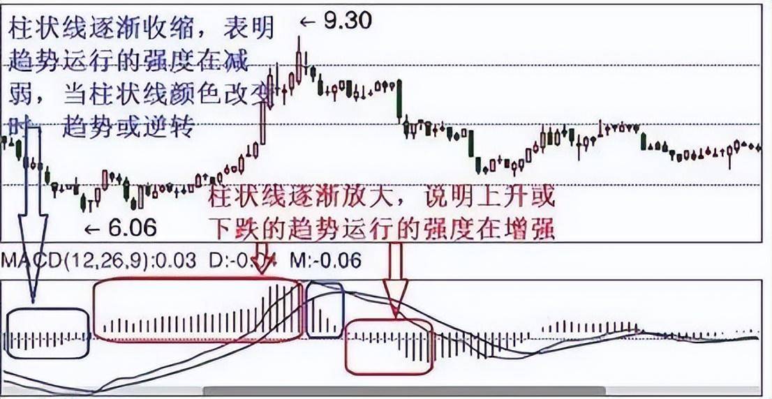 花有重开日人无再少年一轮交易收割了我与股市的十年