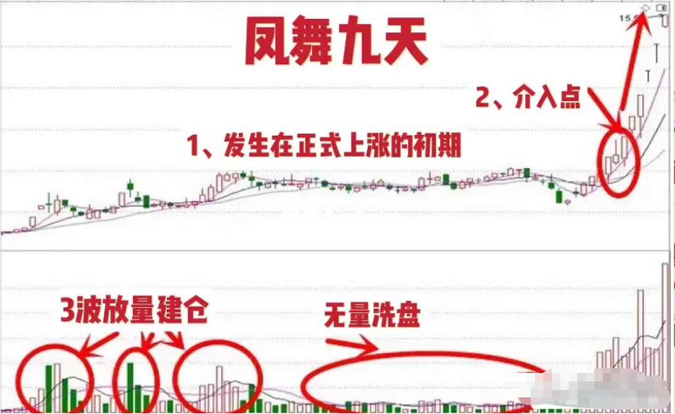 但凡连续大涨的牛股必定有凤舞九天特征盈利十年从未停止