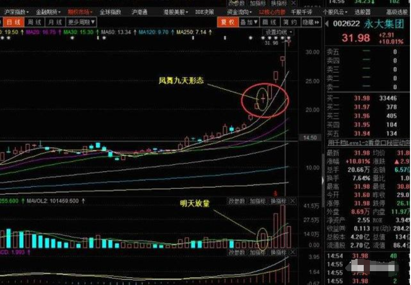 但凡连续大涨的牛股必定有凤舞九天特征盈利十年从未停止