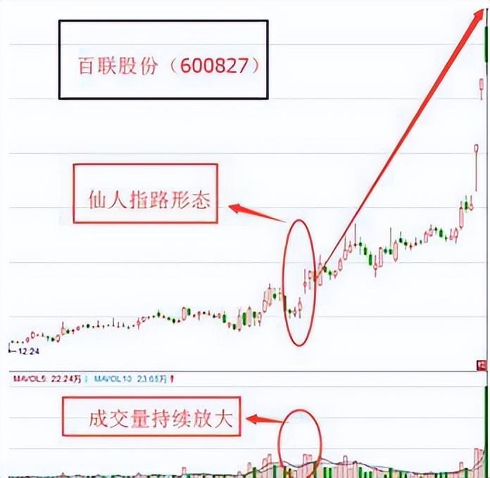 散户能从中国股市赚钱了吗？一位民间股神的故事我整整读了十遍