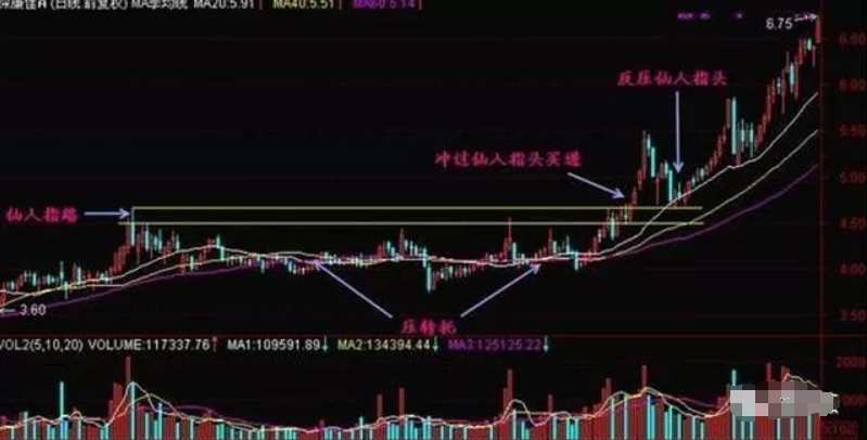 散户能从中国股市赚钱了吗？一位民间股神的故事我整整读了十遍
