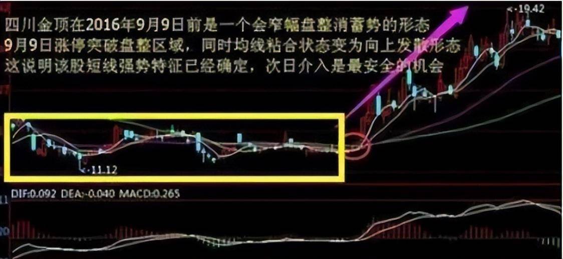 有10万闲钱全买3元左右低价股不理会涨跌一直持有会赚钱吗？