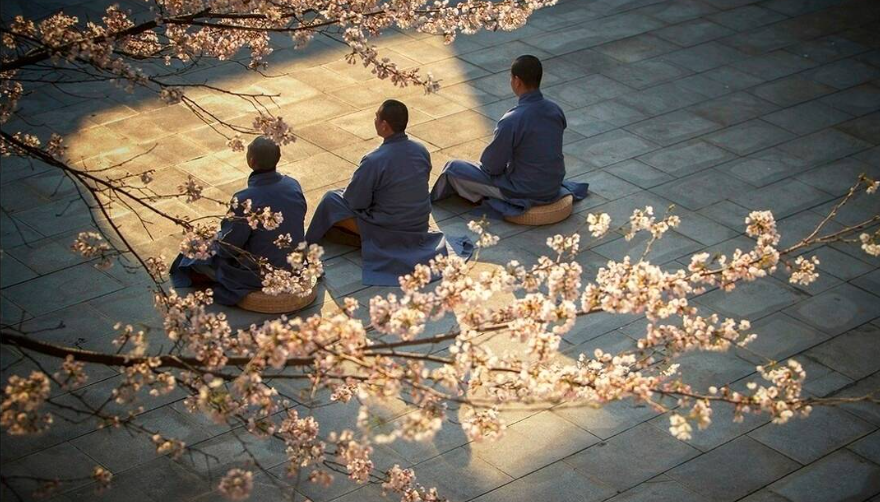 A股献给19亿还在迷茫的股民无论你信不信这就是中国股市！